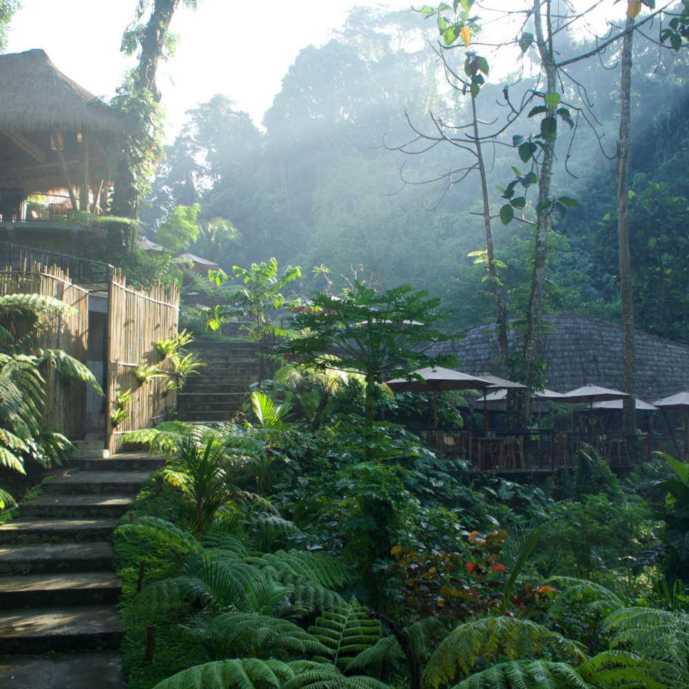 Bali travel guide tourist first visit