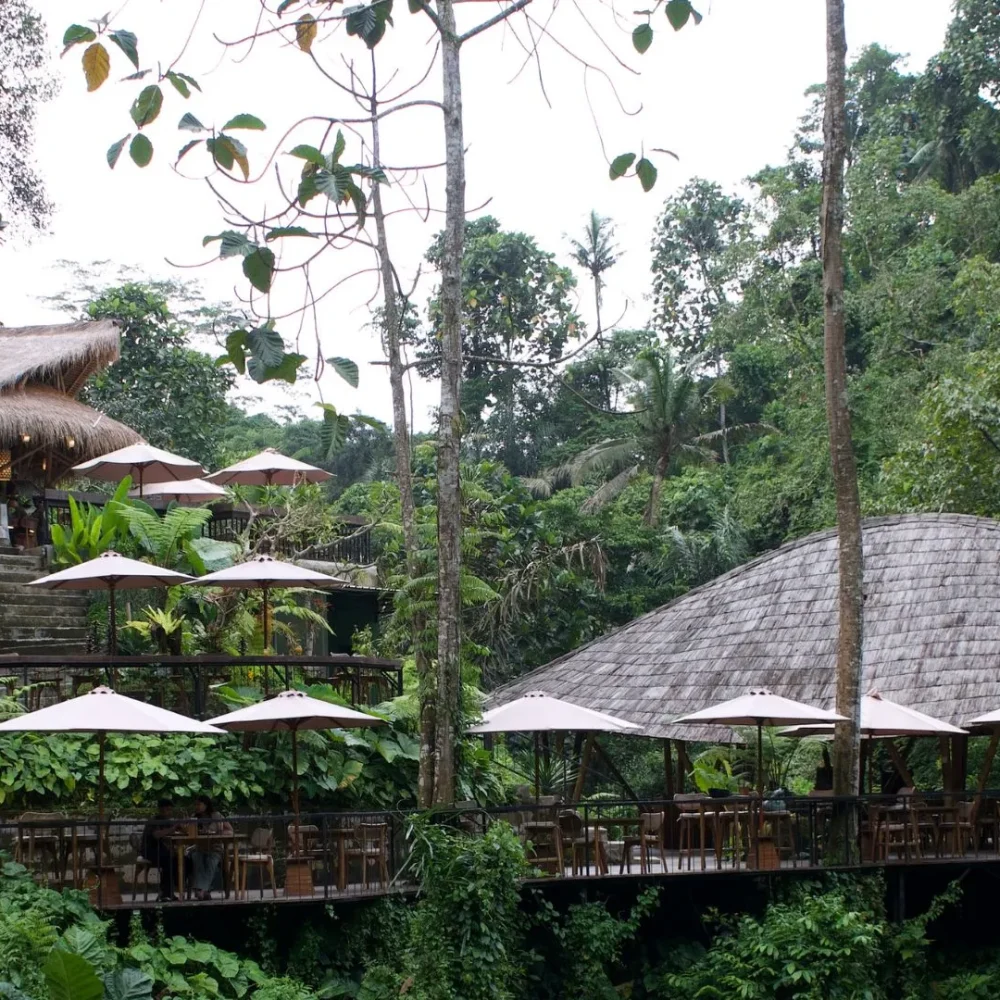 Image 1 - Blog 3