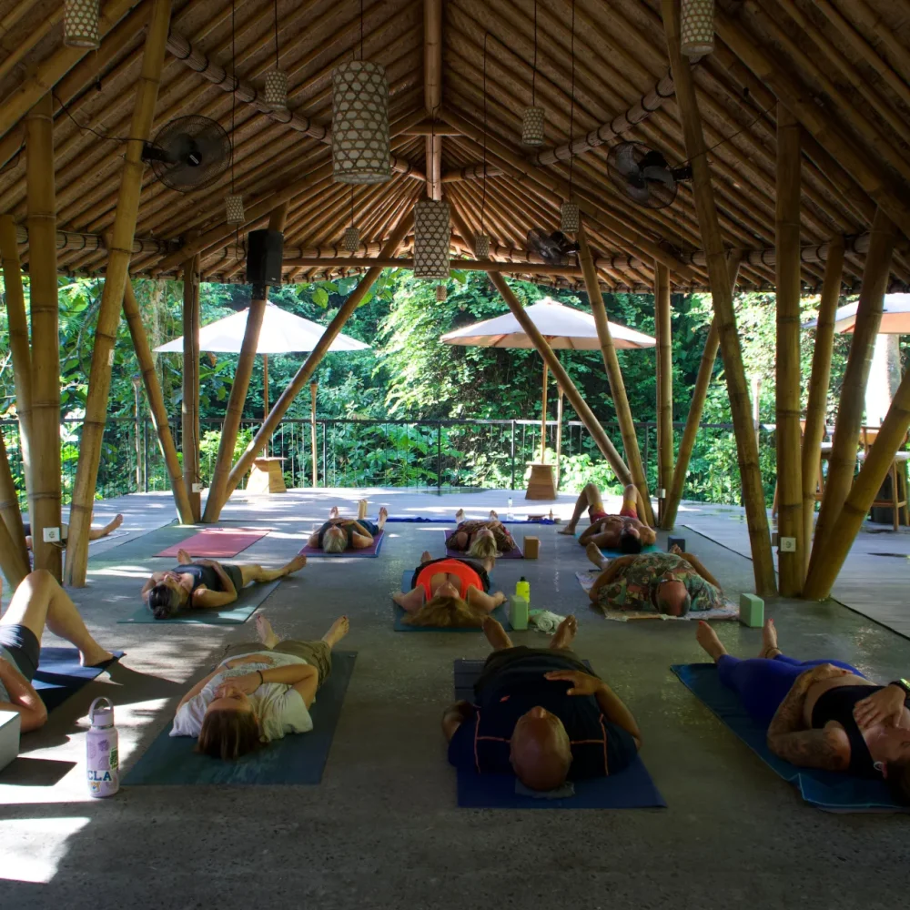 yoga outdoor tropical waterfall